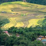 Du Lịch Hà Giang Mùa Hè 2026: Lịch Trình 4N3Đ