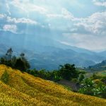 Du Lịch Mộc Châu Mùa Hè 2026: Top 7 Homestay Đẹp Nhất