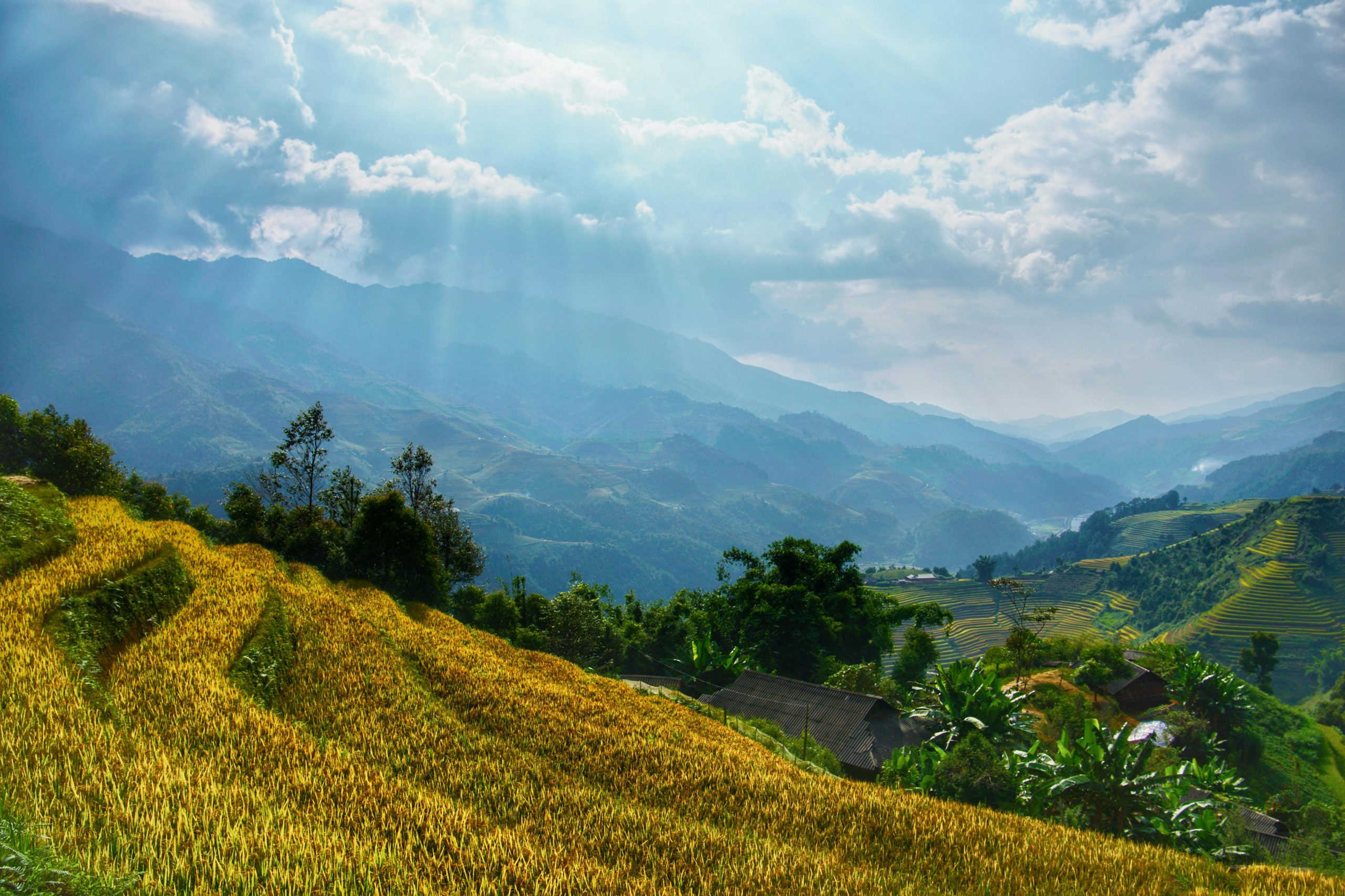 Lush rice terraces bask under sunbeams, framed by mountains and vibrant greenery.