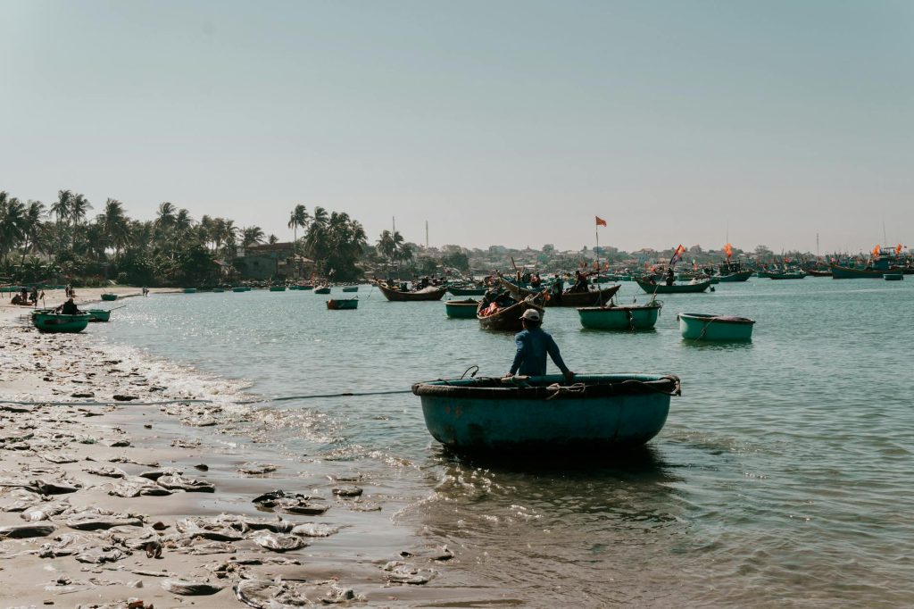 Du Lịch Phú Yên Tự Túc 2026: Cẩm Nang Xứ Hoa Vàng Trên Cỏ Xanh