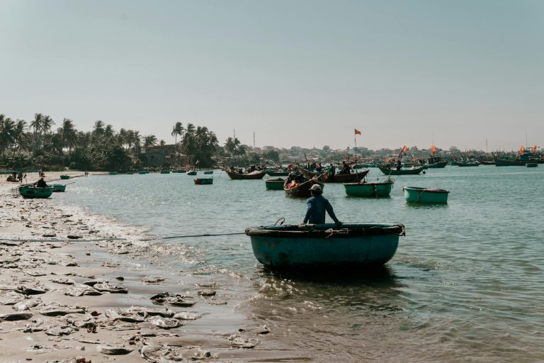 Du Lịch Phú Yên Tự Túc 2026: Cẩm Nang Xứ Hoa Vàng Trên Cỏ Xanh