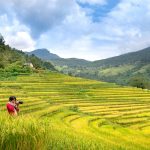 Du Lịch Sapa Hè 2026: Top 10 Homestay View Núi Đáng Đặt